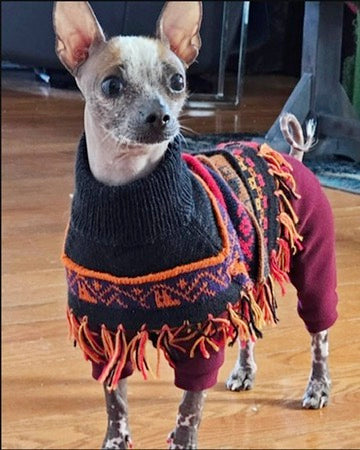 Luxury HARLEY Alpaca dog poncho (sizes XX0-20)