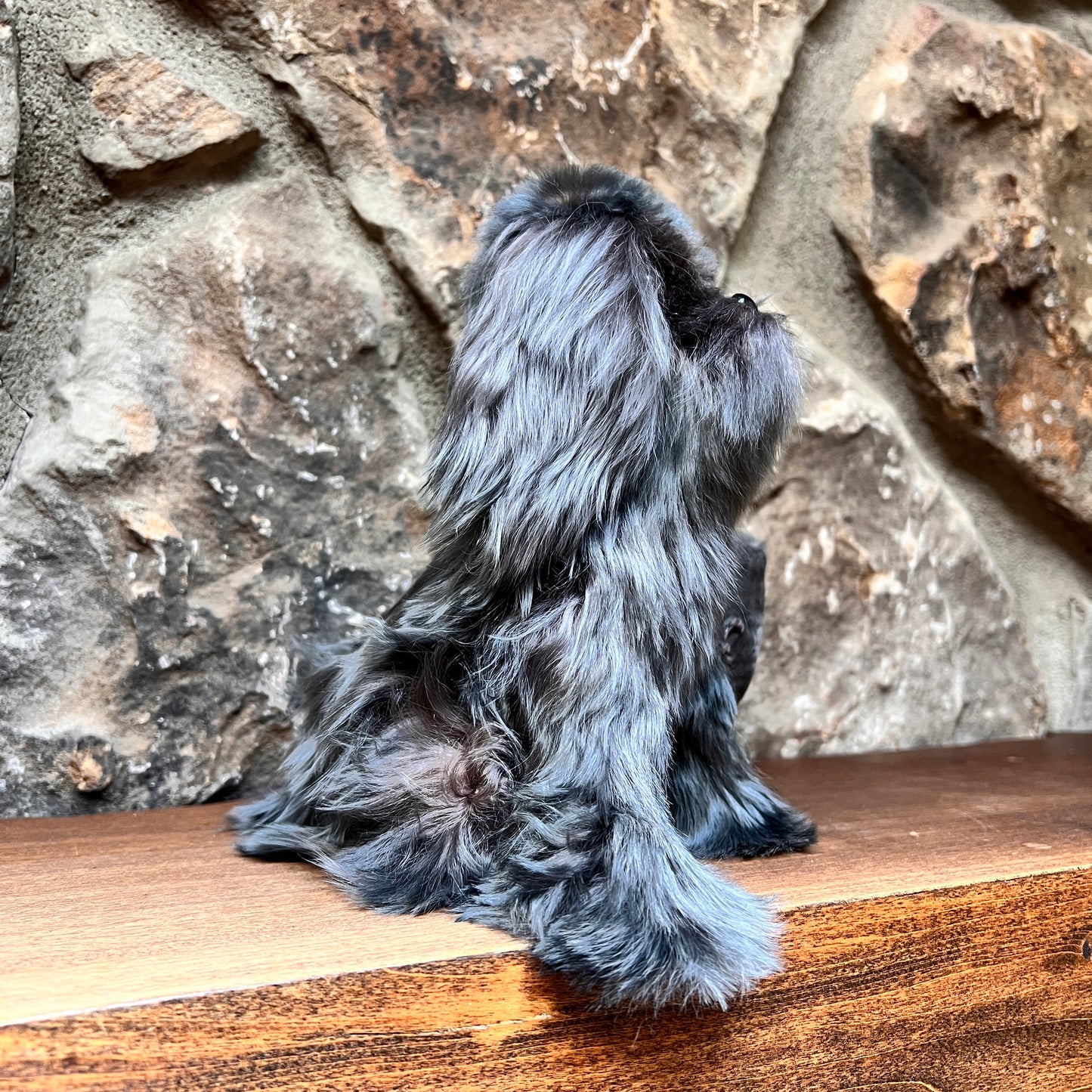 Medium Alpaca Fur Dog