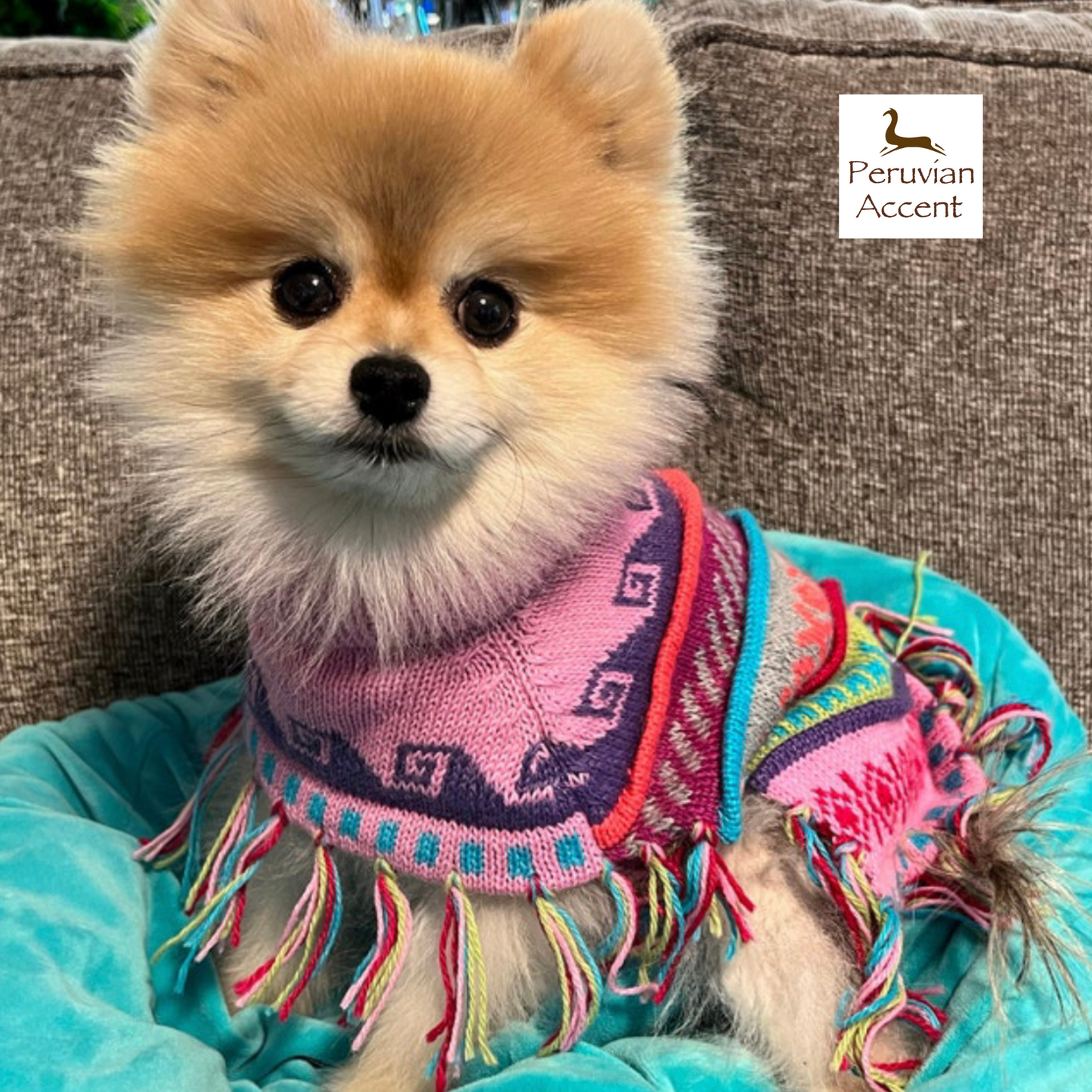 BABY PINK Alpaca dog poncho (Sizes XX0-20)