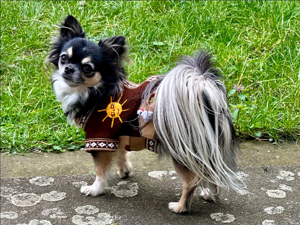 CAFE BROWN Handmade Peruvian Zip Up Dog Sweater (Sizes: X0-10)
