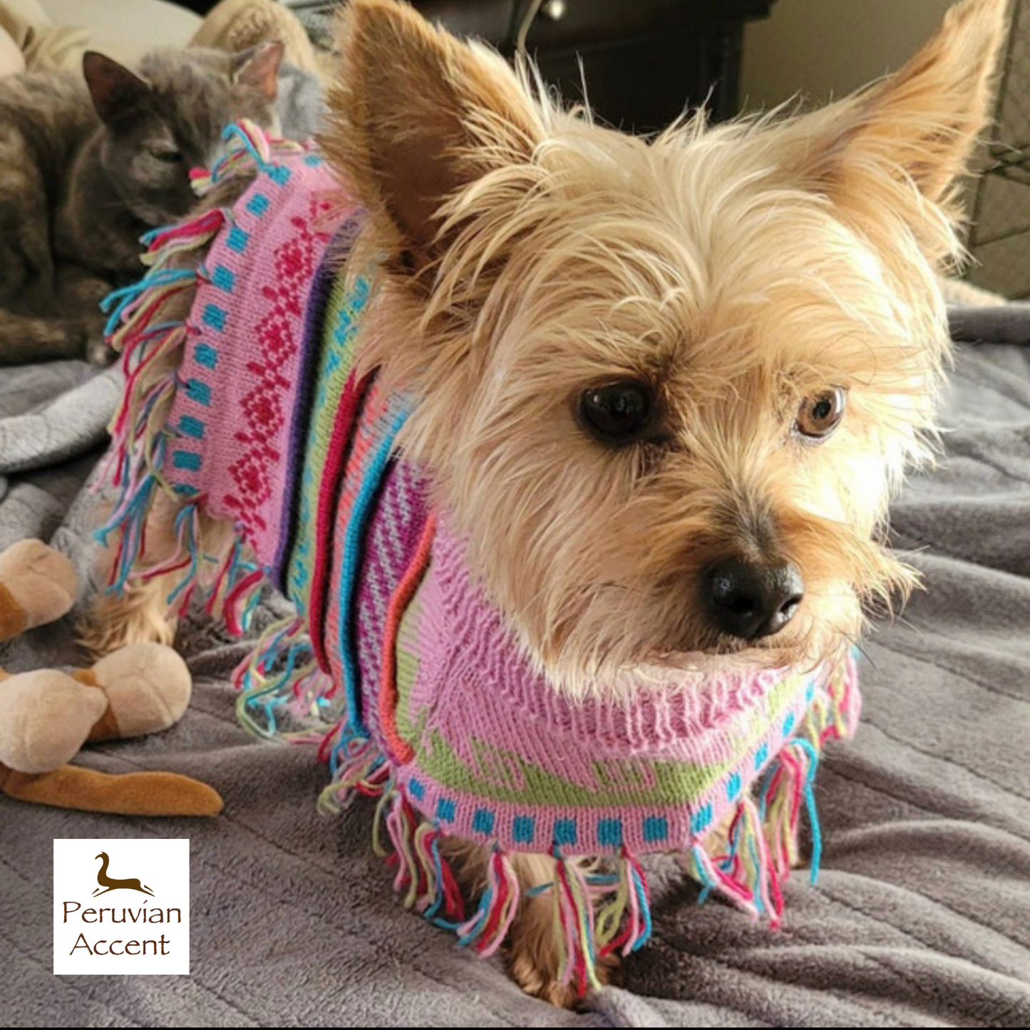 BABY PINK Alpaca dog poncho (Sizes XX0-20)