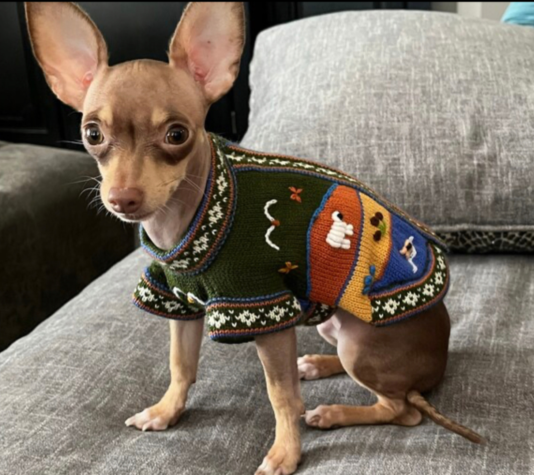 Size X0 Dog Sweater