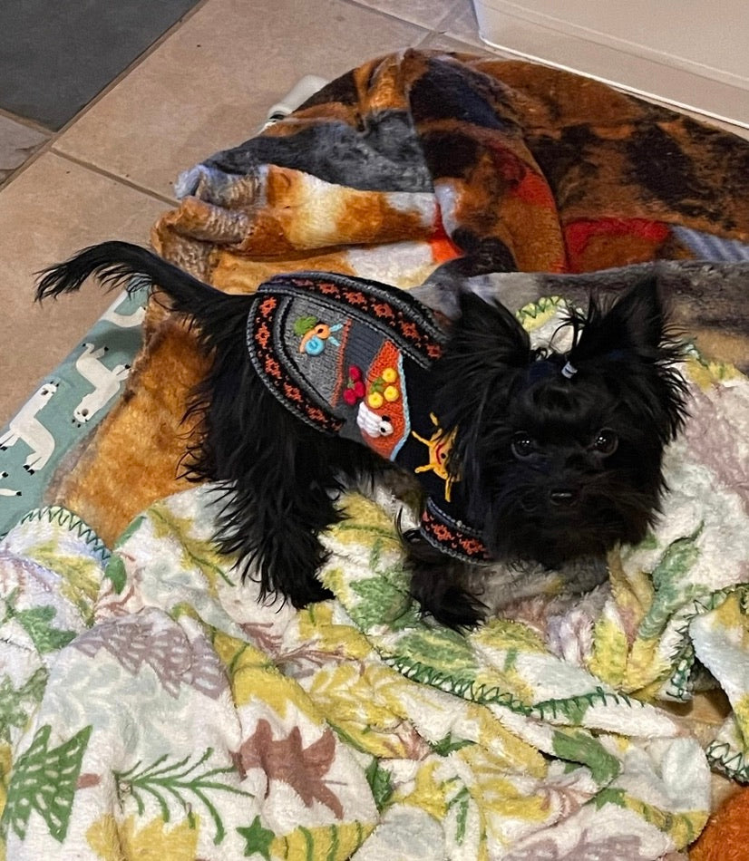 HARLEY COLOR Handmade Peruvian Dog Sweater All Sizes (XX0-14)