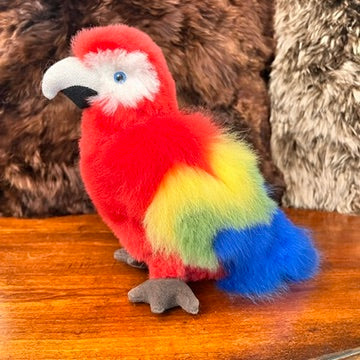 Large Amazon PARROTS