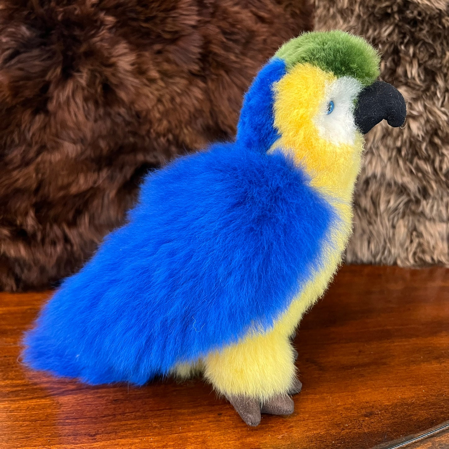 Large Amazon PARROTS