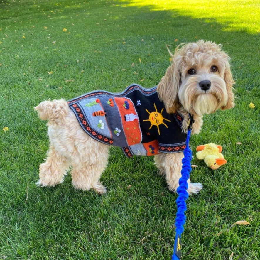 HARLEY COLOR Handmade Peruvian Dog Sweater All Sizes (XX0-14)