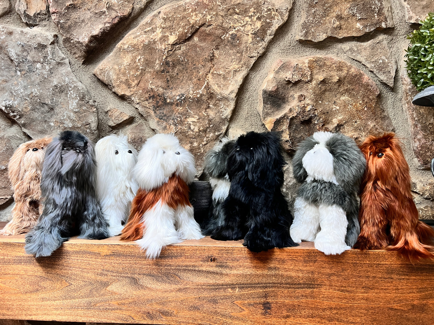 Medium Alpaca Fur Dog
