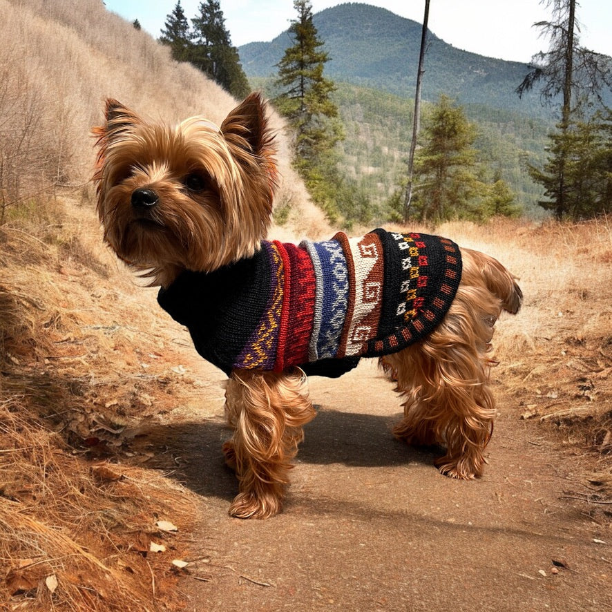 NAZCA Alpaca dog sweater Black Elegance (Size XX0-8)