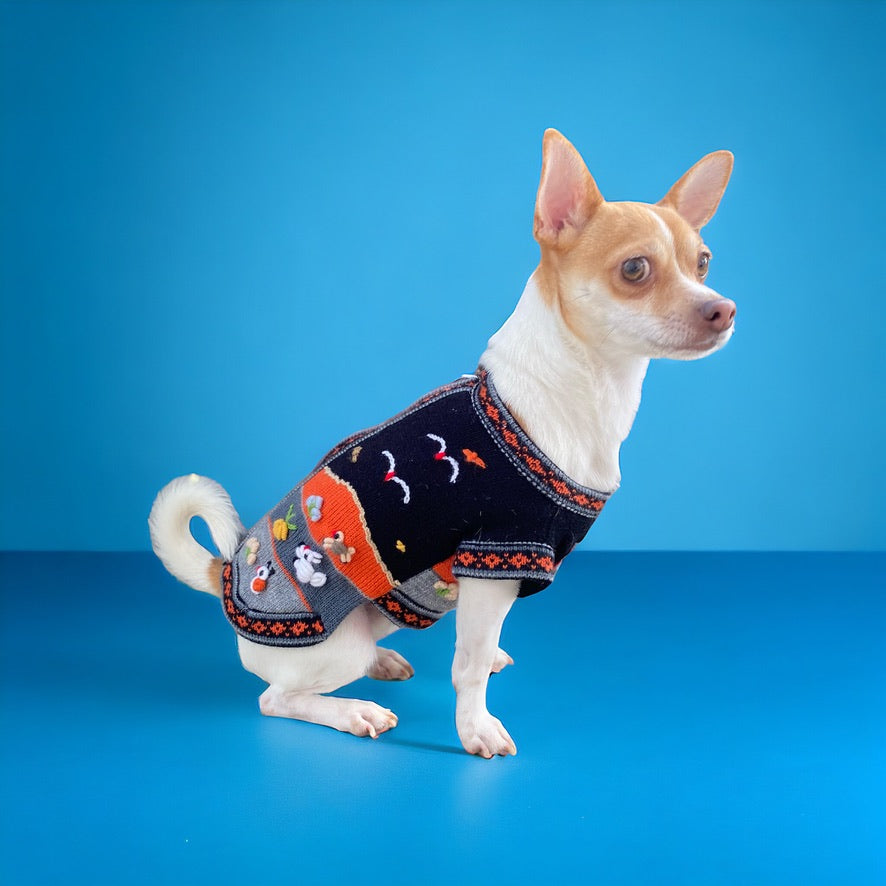 HARLEY COLOR Handmade Peruvian Dog Sweater All Sizes (XX0-14)