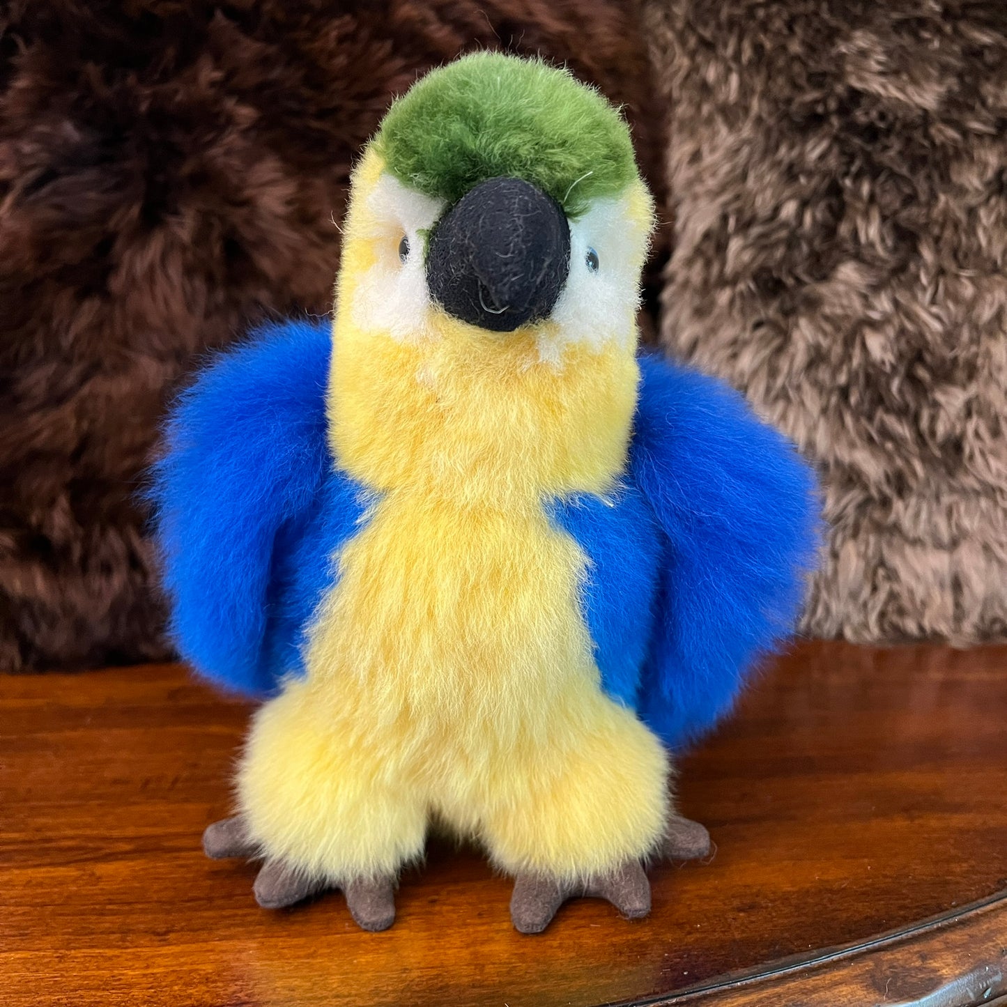 Large Amazon PARROTS
