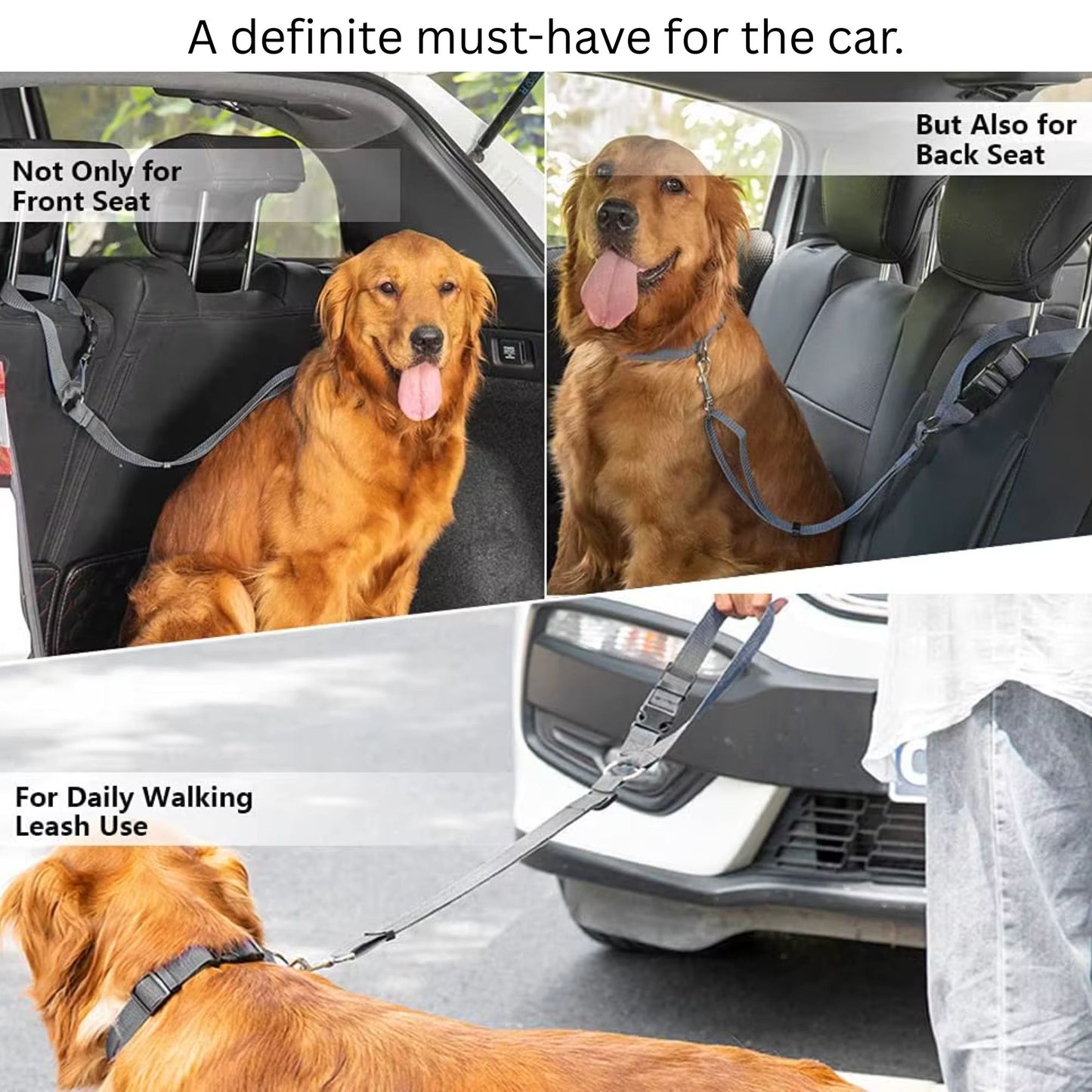 3-in-1 Dog Leash, Seat Harness & Collar