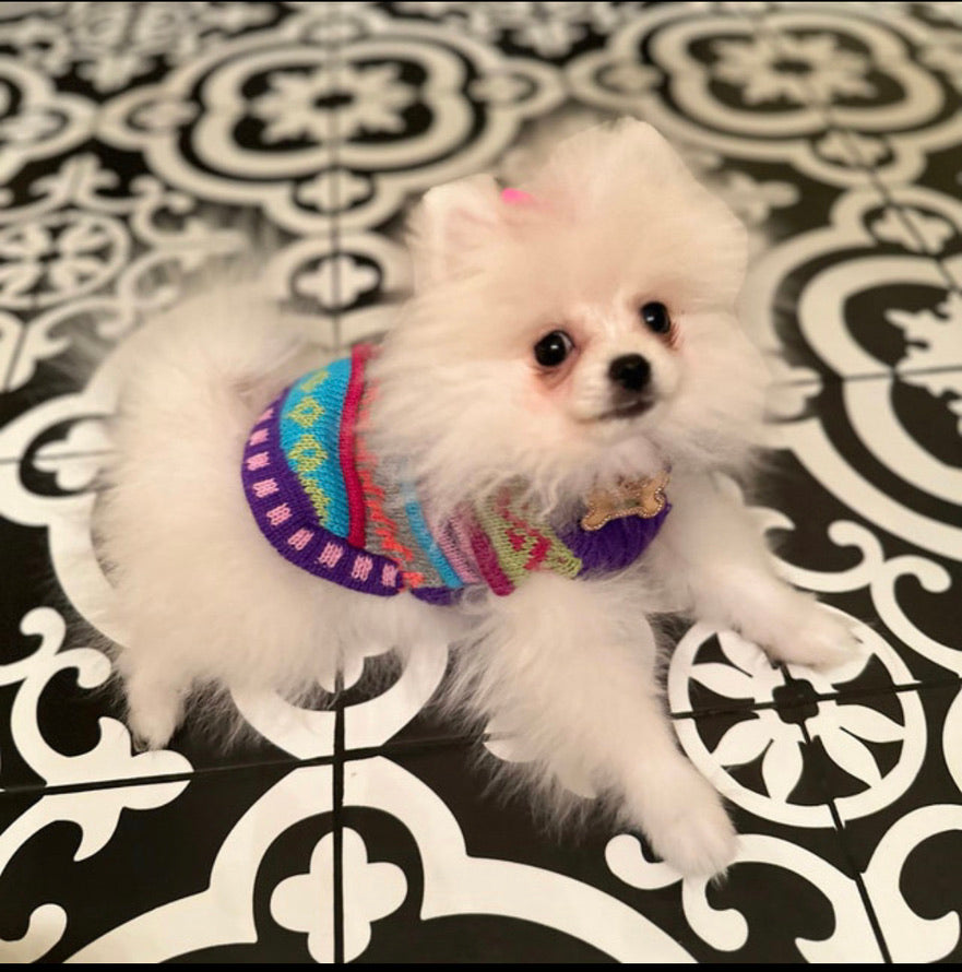 NAZCA Alpaca dog sweater, ROYAL PURPLE (Size XX0-8)