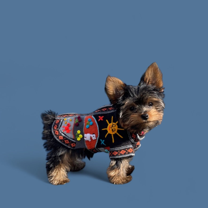 HARLEY COLOR Handmade Peruvian Dog Sweater All Sizes (XX0-14)