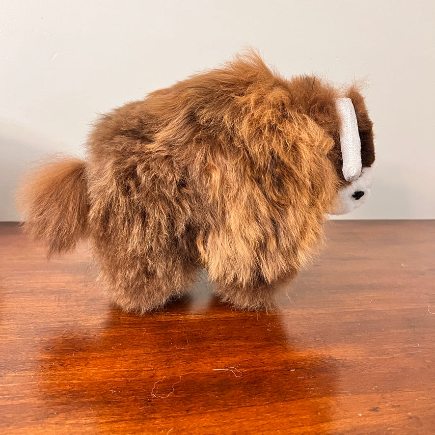 Large Buffalo