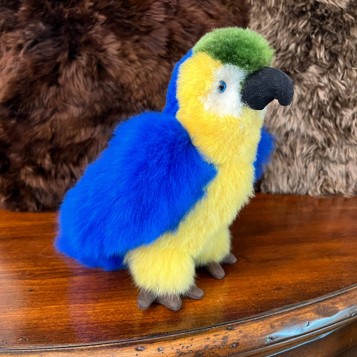 Large Amazon PARROTS