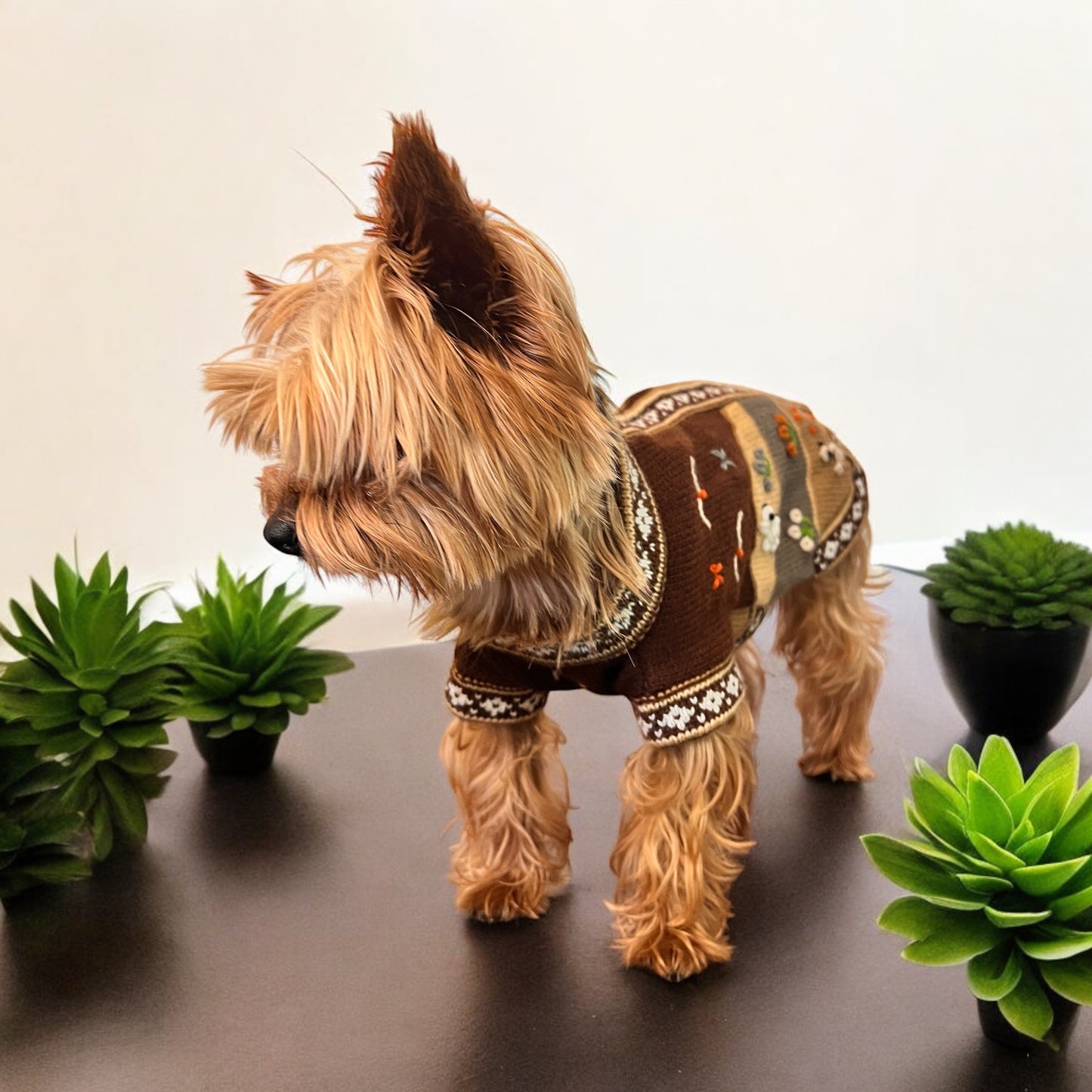 CAFE BROWN Handmade Peruvian Zip Up Dog Sweater (Sizes: X0-10)