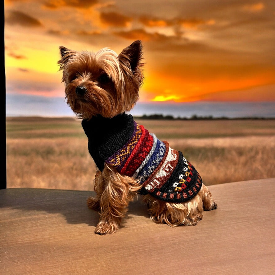 NAZCA Alpaca dog sweater Black Elegance (Size XX0-8)