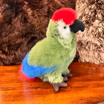 Large Amazon PARROTS