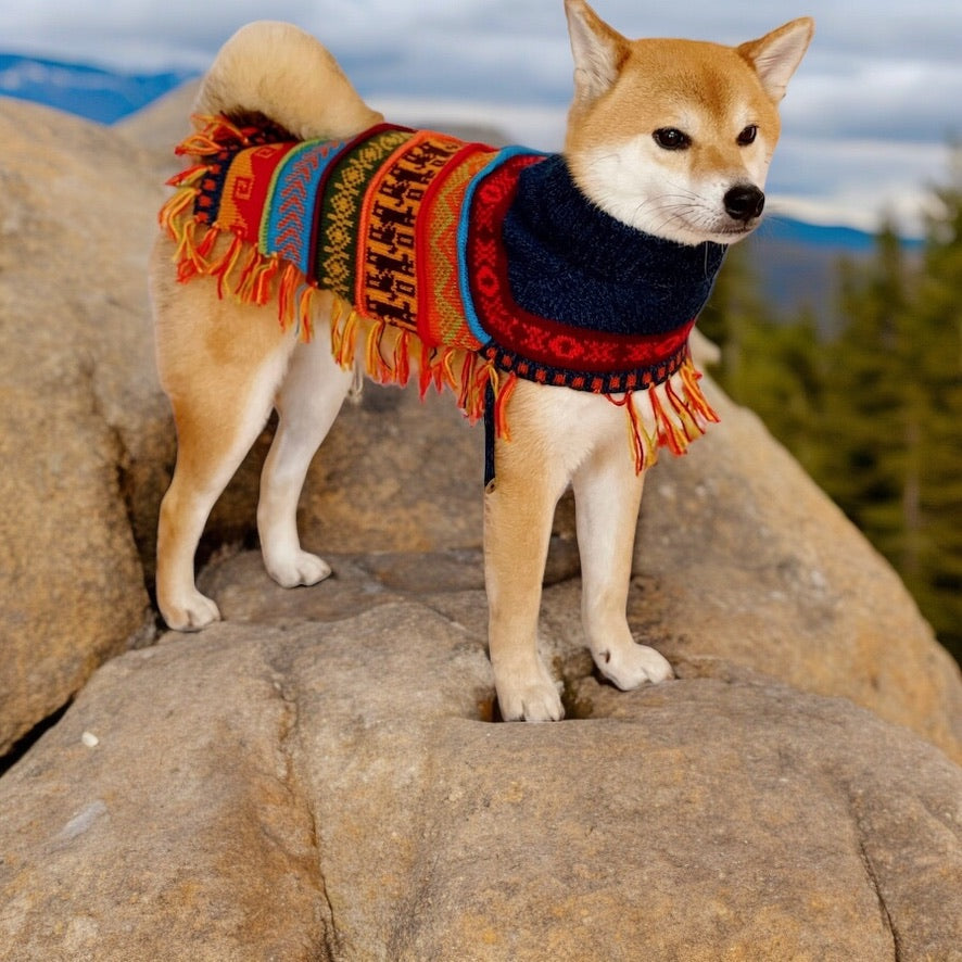 Luxury HARLEY Alpaca dog poncho (sizes XX0-20)