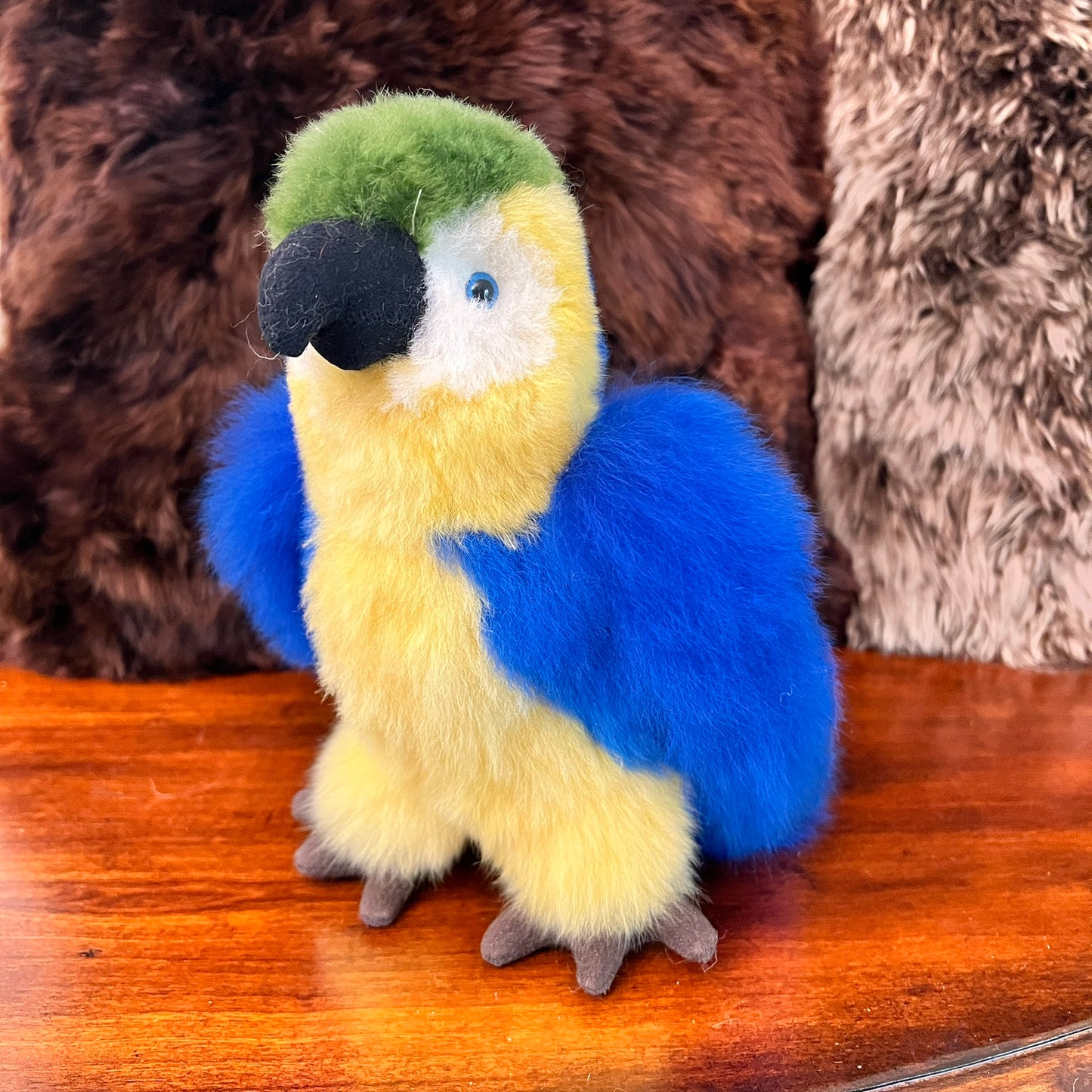 Large Amazon PARROTS