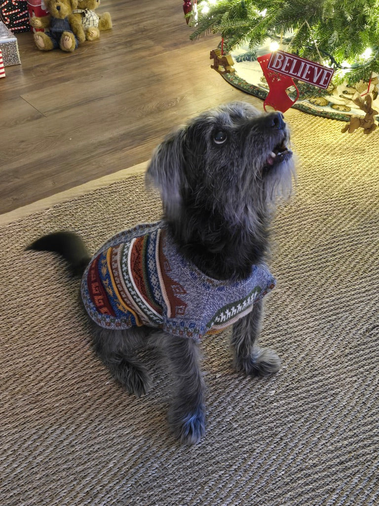 CUSCO style dog sweater