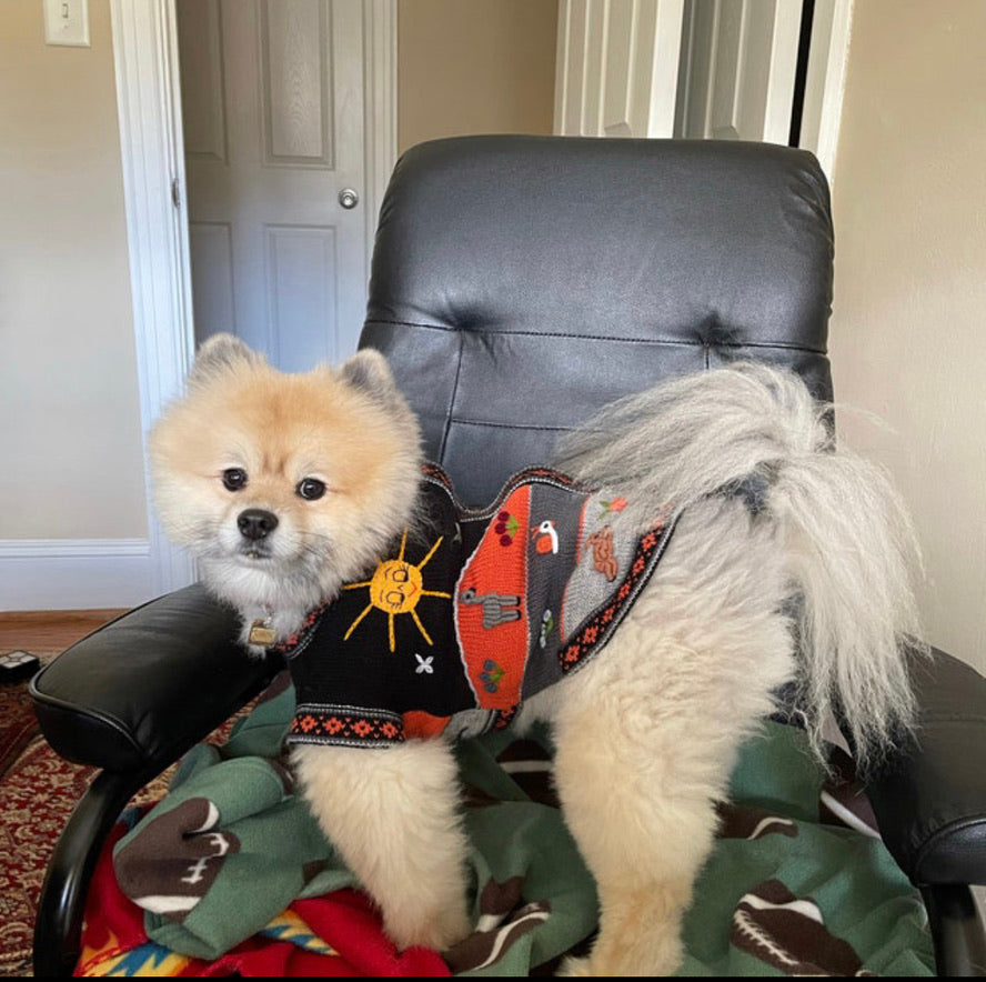 HARLEY COLOR Handmade Peruvian Dog Sweater All Sizes (XX0-14)