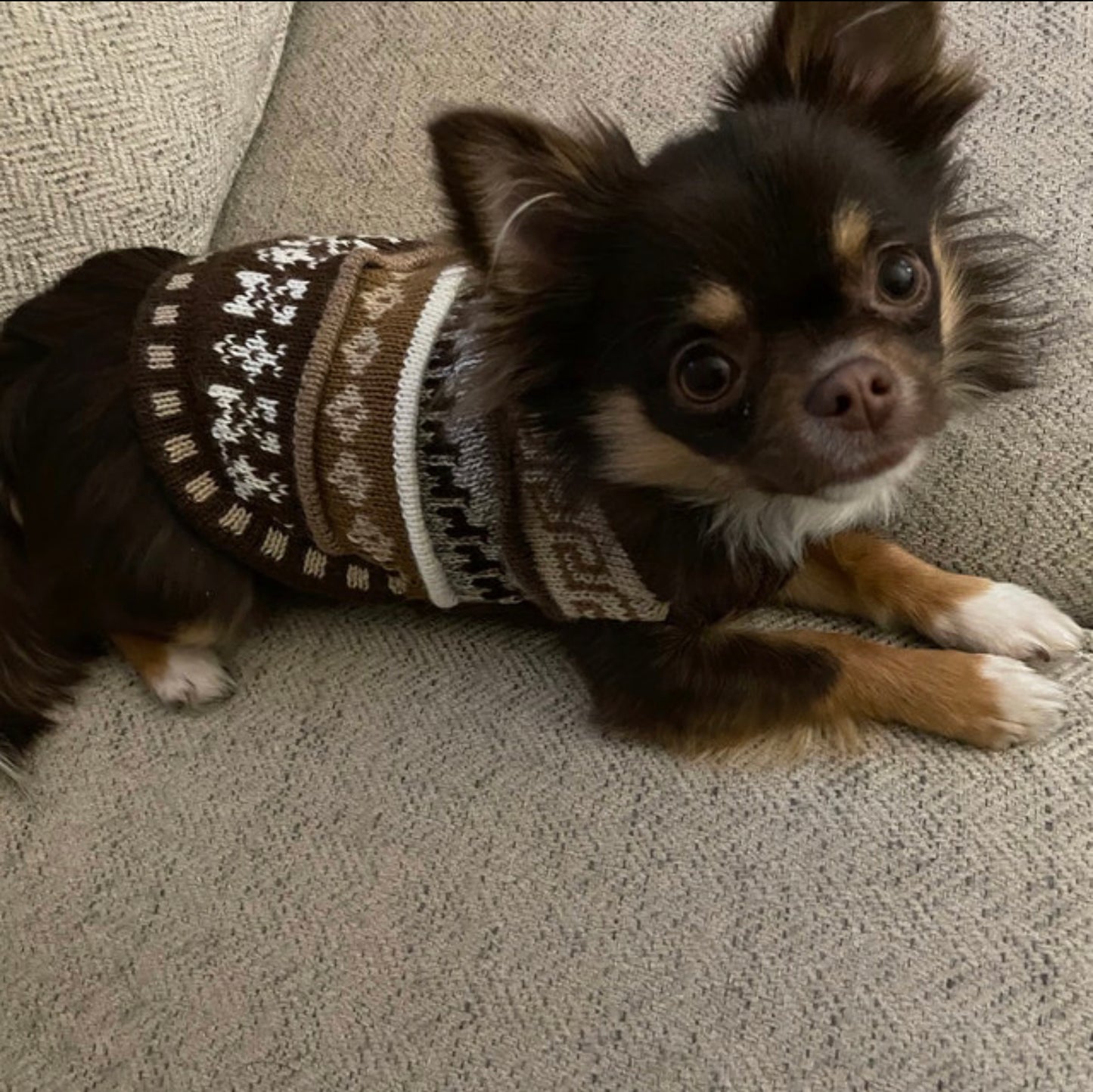 CAFE BROWN NAZCA Alpaca sweater 1.5 lbs - 40 lbs.