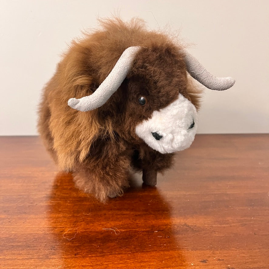 Large Buffalo