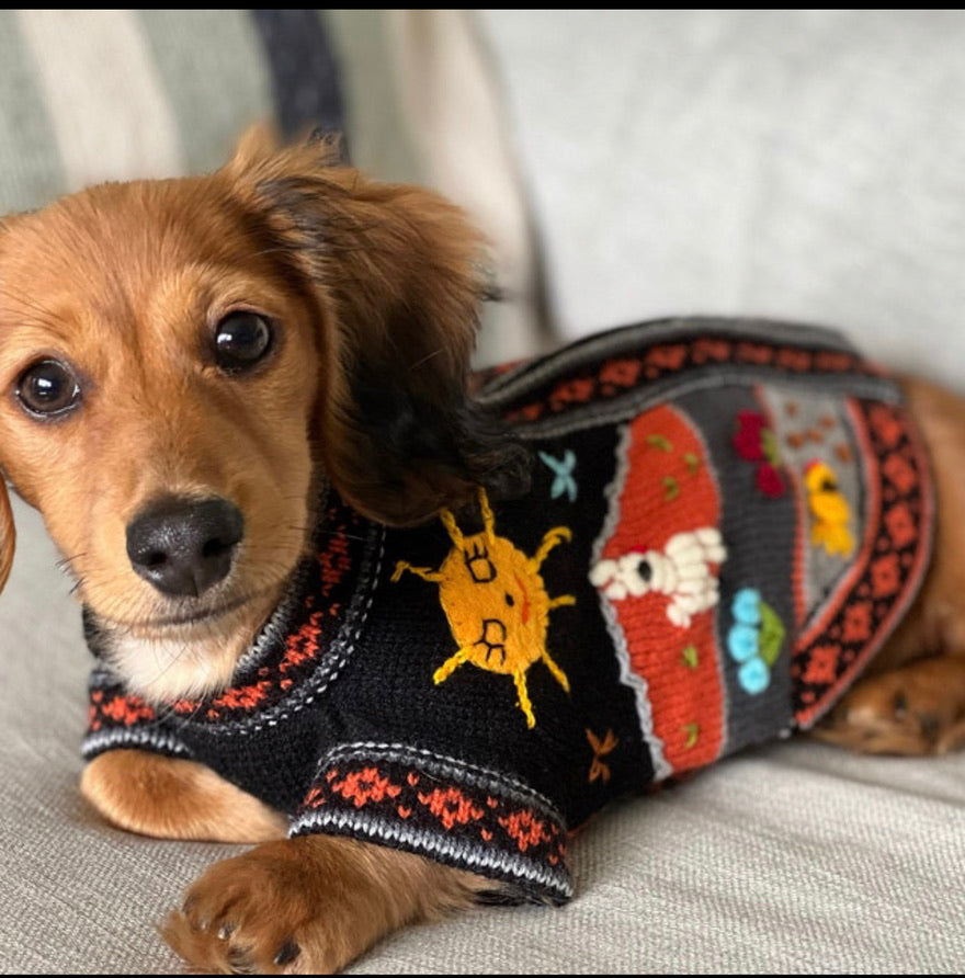 HARLEY COLOR Handmade Peruvian Dog Sweater All Sizes (XX0-14)