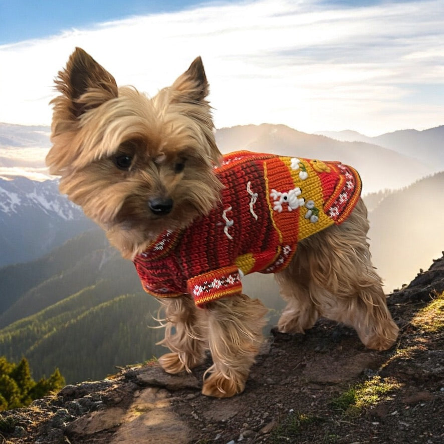 TEQUILA SUNRISE zip up the back Luxury sweater ON SALE!!