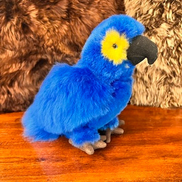 Large Amazon PARROTS