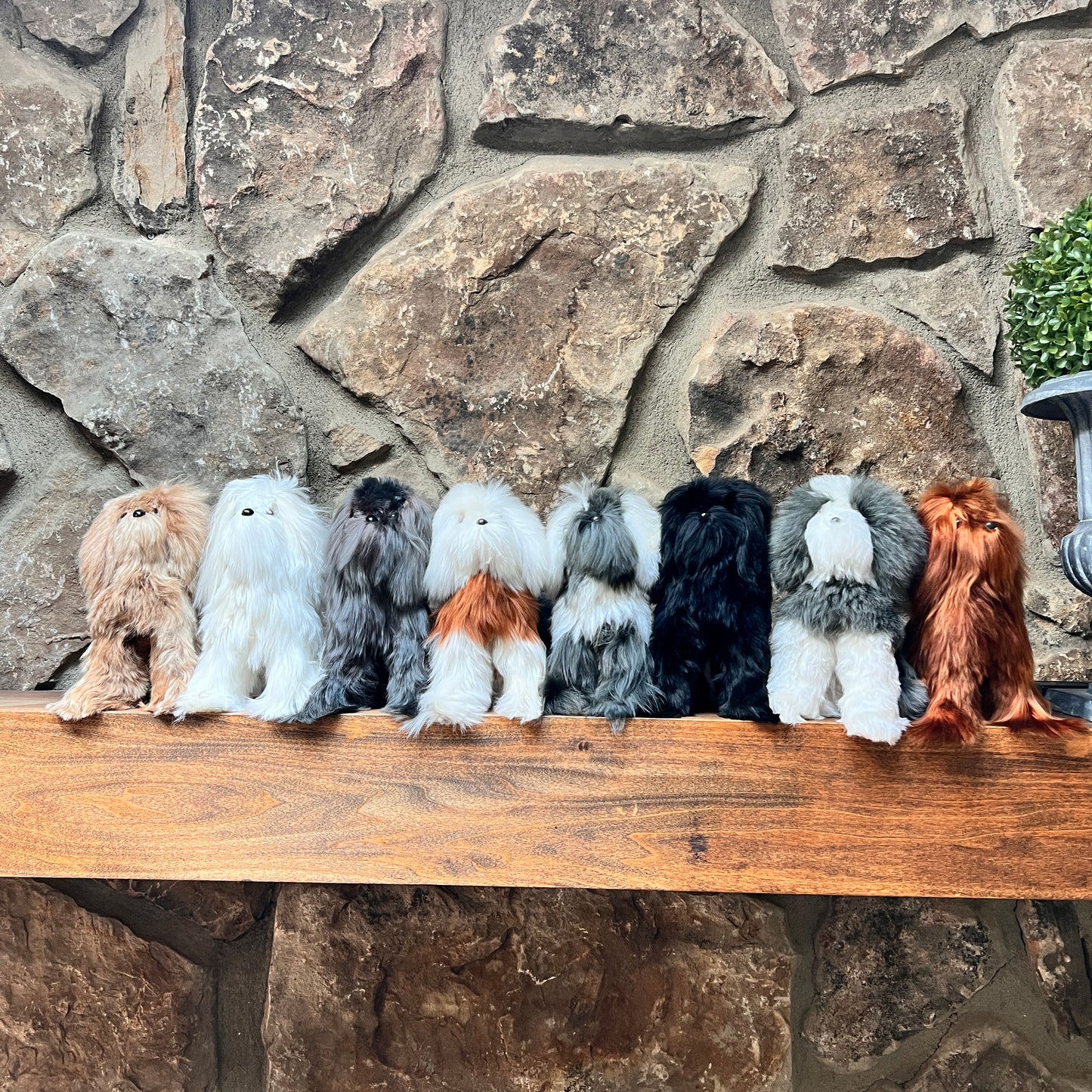 Medium Alpaca Fur Dog