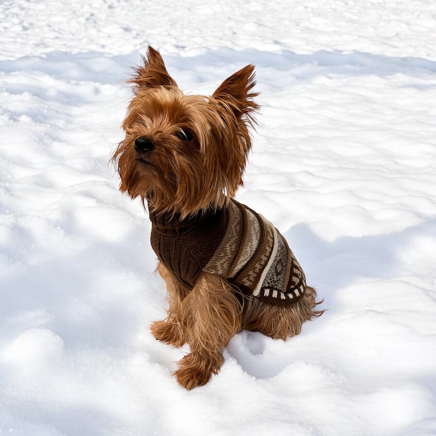CAFE BROWN NAZCA Alpaca sweater 1.5 lbs - 40 lbs.