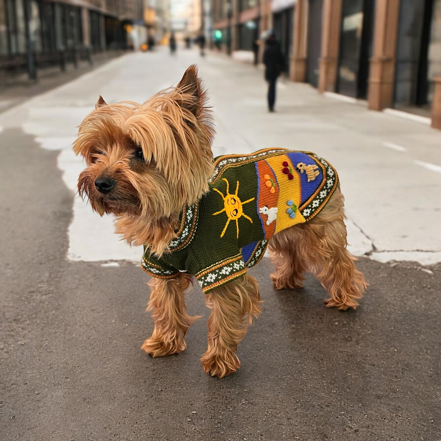 MILITARY GREEN Dog Sweater All Sizes (XX0-14)