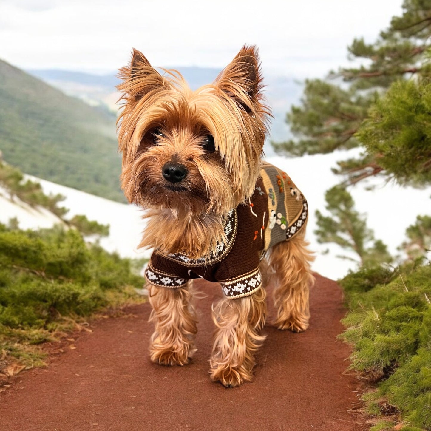 CAFE BROWN Handmade Peruvian Zip Up Dog Sweater (Sizes: X0-10)