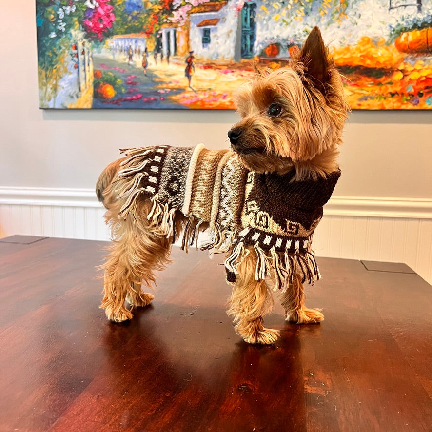 Peruvian Handmade CAFE BROWN Alpaca dog PONCHO – Peruvian Accent
