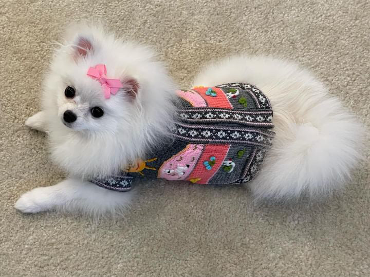 Gray and Pink Dog Sweater (SIZES XX0-14)