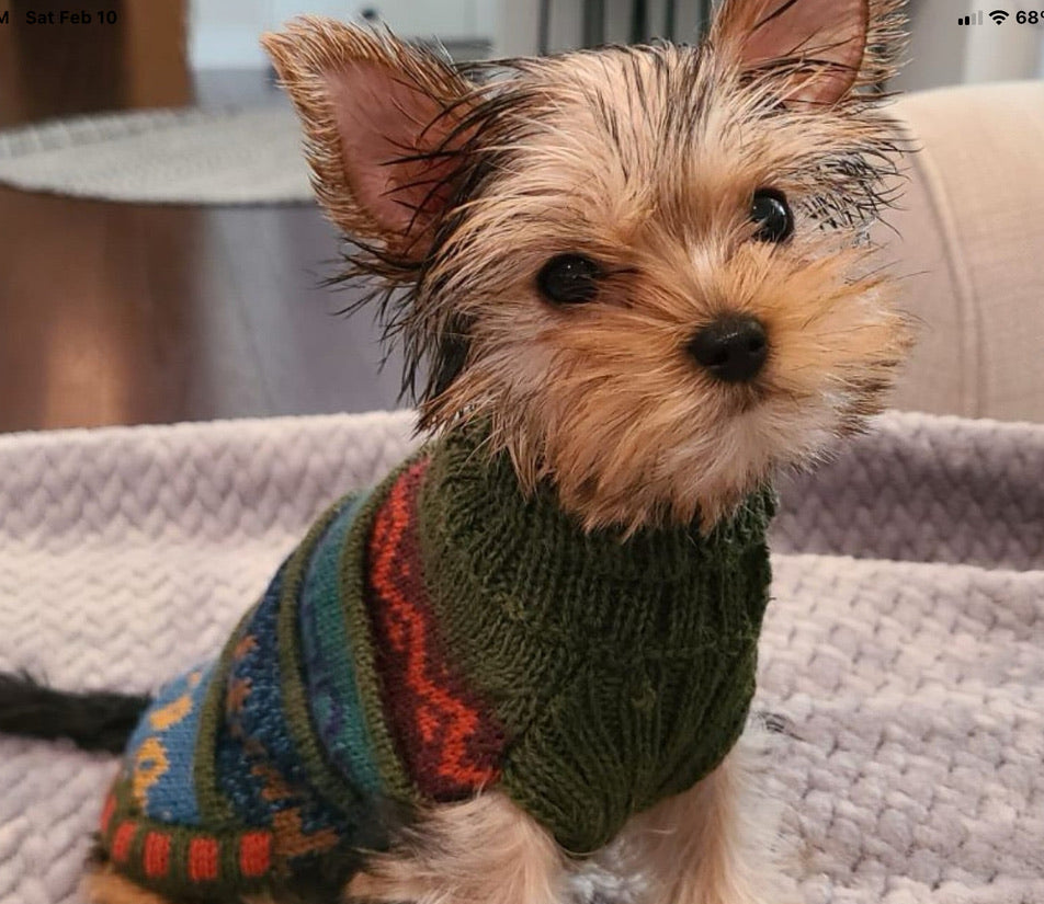 MILITARY Green NAZCA Alpaca sweater  2lbs - 40 lbs.