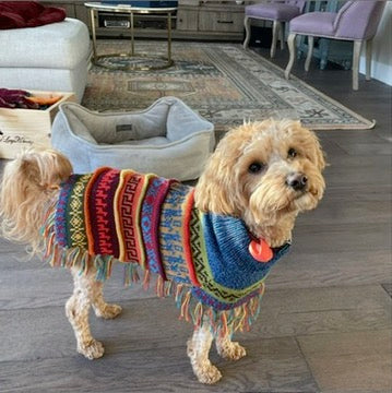 Handmade BLUE PURPLE TWEED Alpaca Dog Poncho SIZE XX0-20