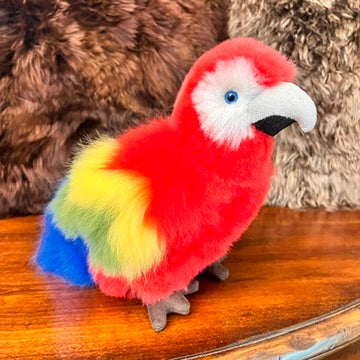 Large Amazon PARROTS