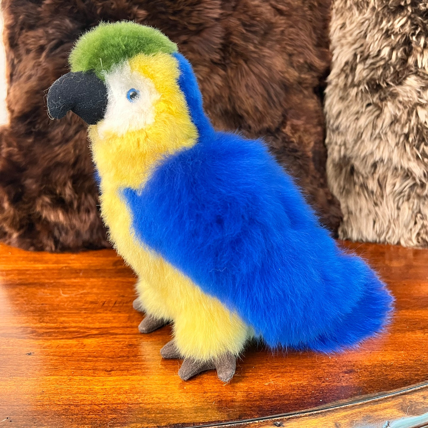 Large Amazon PARROTS