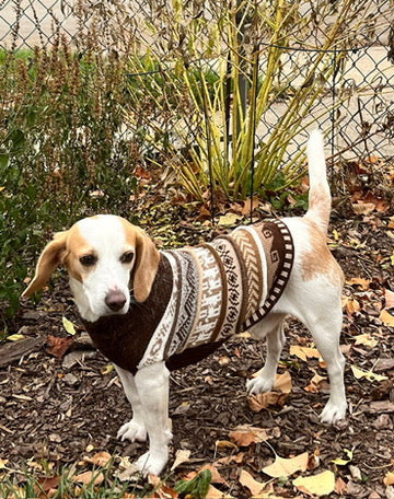 CAFE BROWN NAZCA STYLE DOG SWEATER BY PERUVIAN ACCENT. MADE OF ALPACA IN THE ANDES OF PERU.