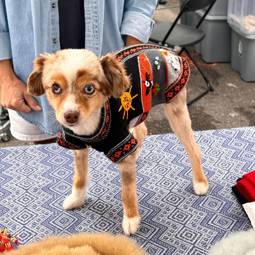 HARLEY COLOR Handmade Peruvian Dog Sweater All Sizes (XX0-14)