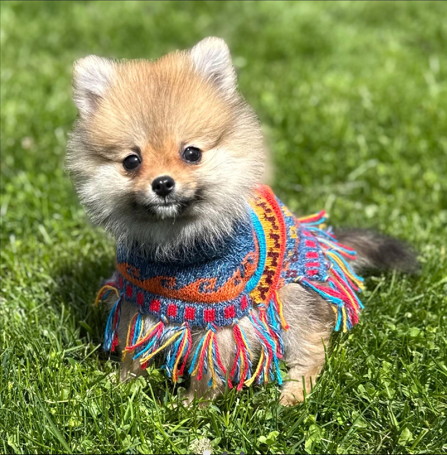 Handmade BLUE PURPLE TWEED Alpaca Dog Poncho SIZE XX0-20