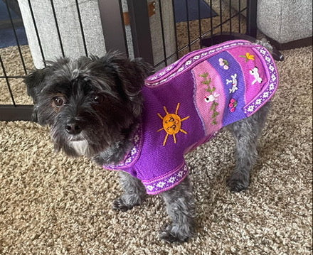 LAVENDER Handmade Peruvian Dog Sweater All Sizes (X0-14)