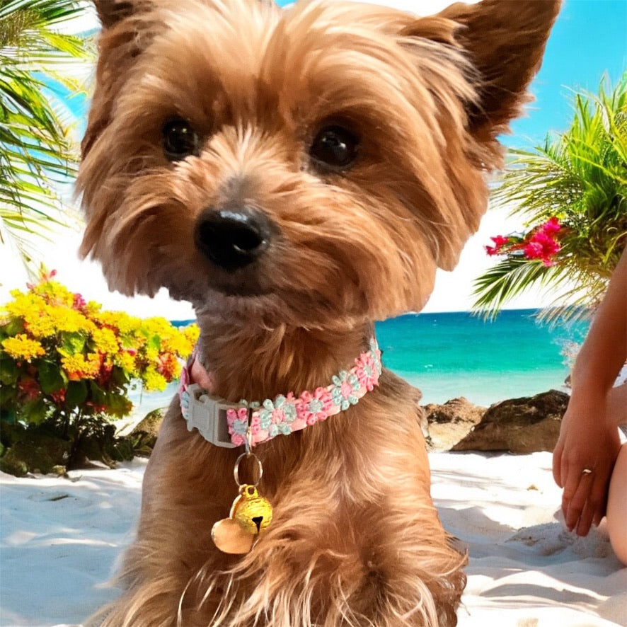 Floral Dog Collar