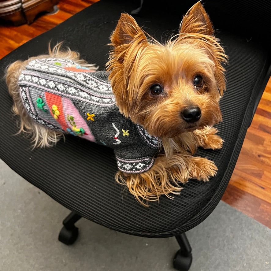 Gray and Pink Dog Sweater (SIZES XX0-14)