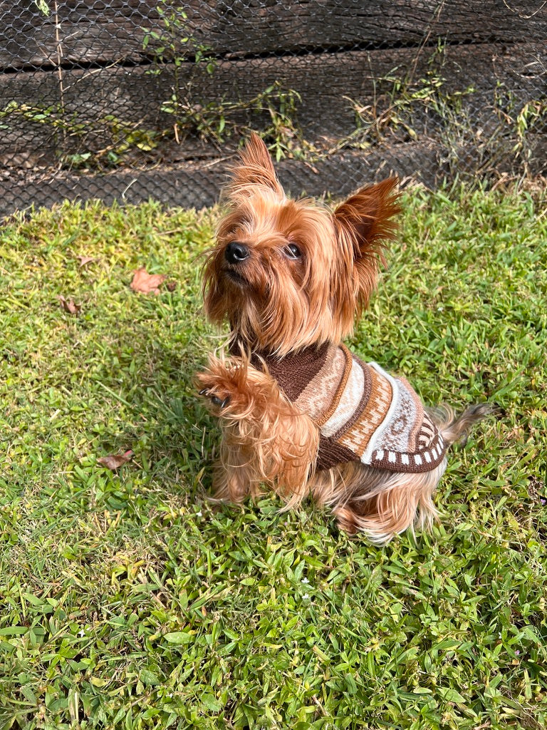 CAFE BROWN NAZCA Alpaca sweater 1.5 lbs - 40 lbs.