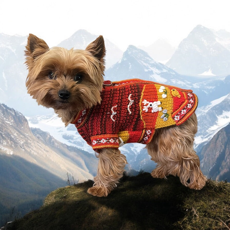 TEQUILA SUNRISE zip up the back Luxury sweater ON SALE!!