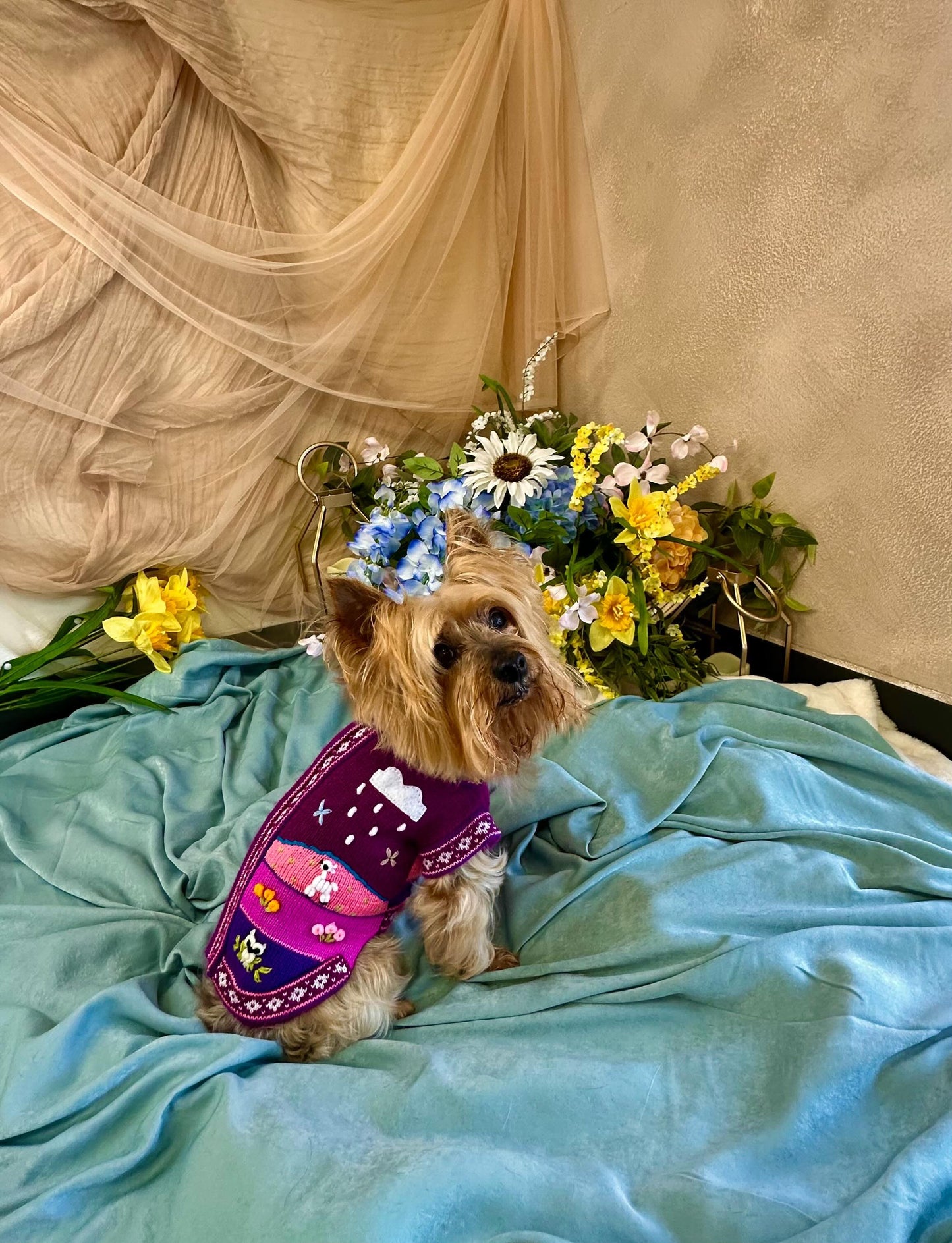 LAVENDER Handmade Peruvian Dog Sweater All Sizes (X0-14)